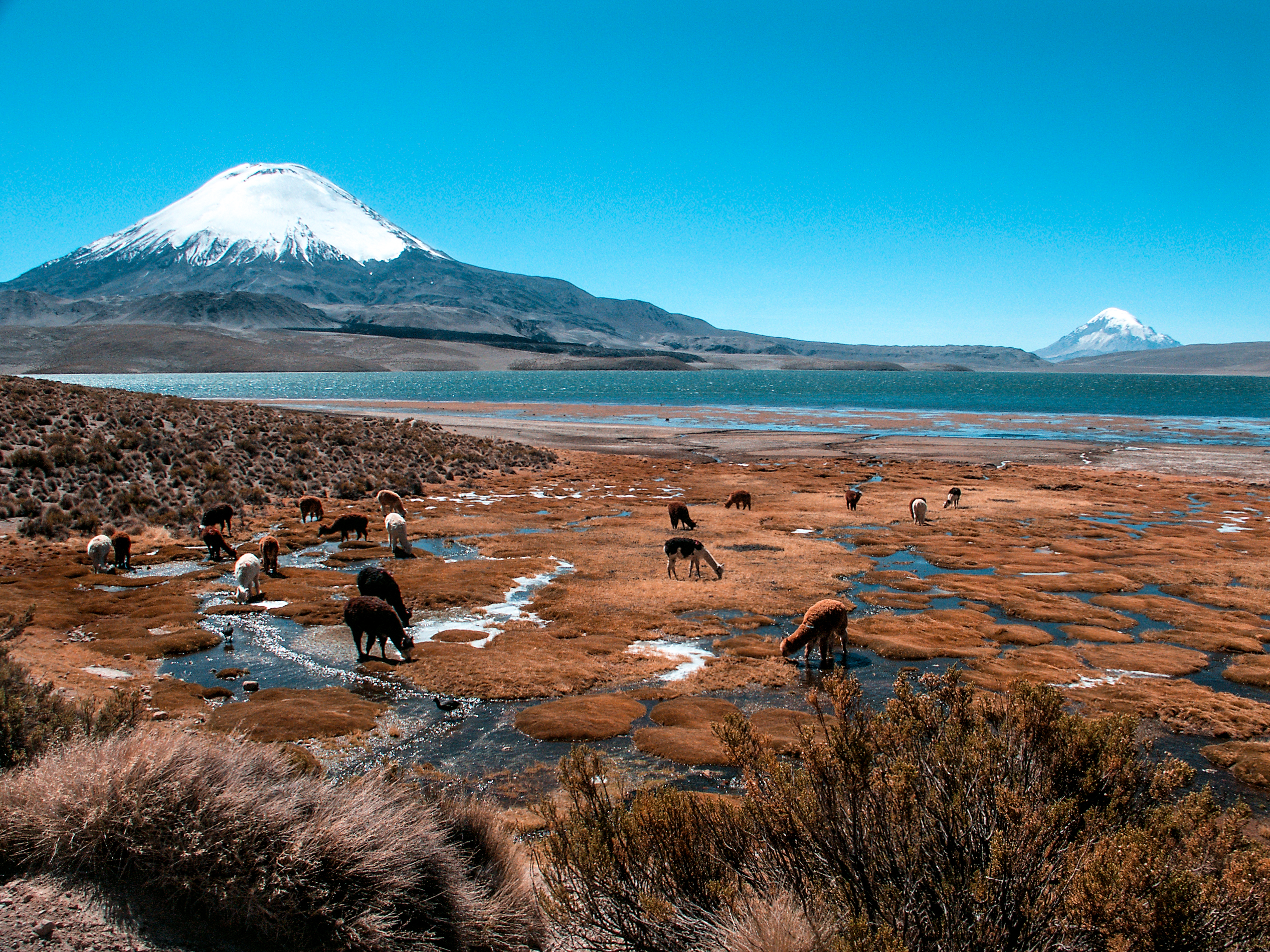 Parque Nacional Lauca